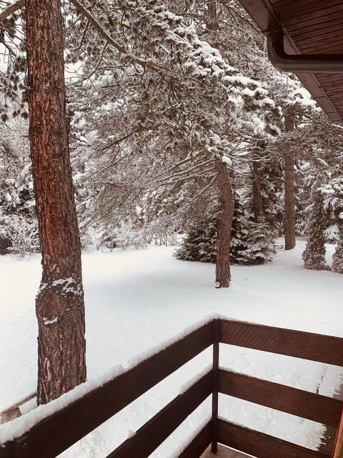 Vila Lucic Zlatibor Dış mekan fotoğraf